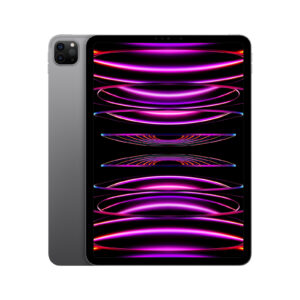iPad Pro 11" WI-FI 256GB Grigio siderale 10/22