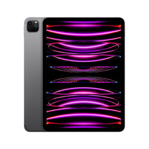 Apple iPad Pro 2022 M2 11.0 512GB WiFi + Cellular - Space Grey - Italia